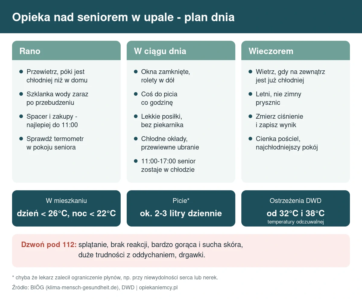 Infografika: opieka nad seniorem w upale - plan dnia rano, w ciągu dnia i wieczorem